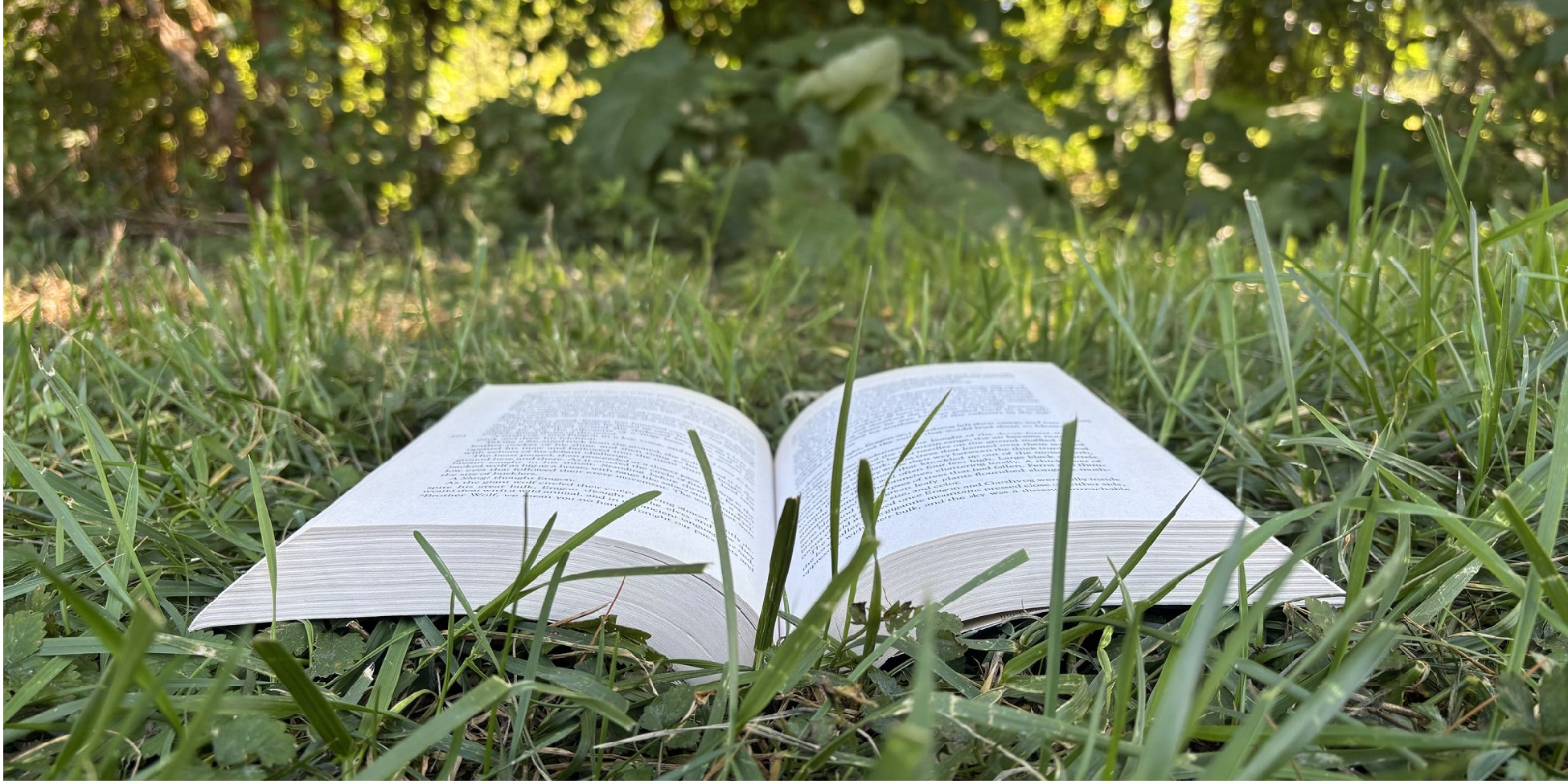 a book photo